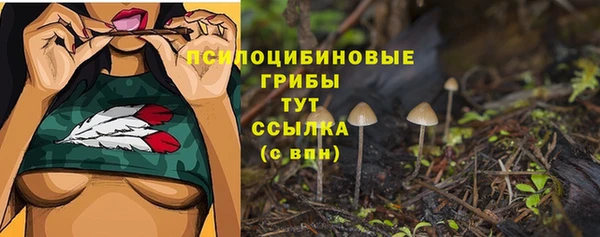 дживик Алзамай