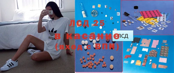 шишки Абинск